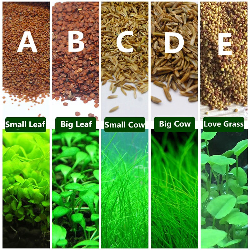 Easy Growing Fish Tank Plant Green Grass Aquarium Grass Mat Lawn Decor/Seed
